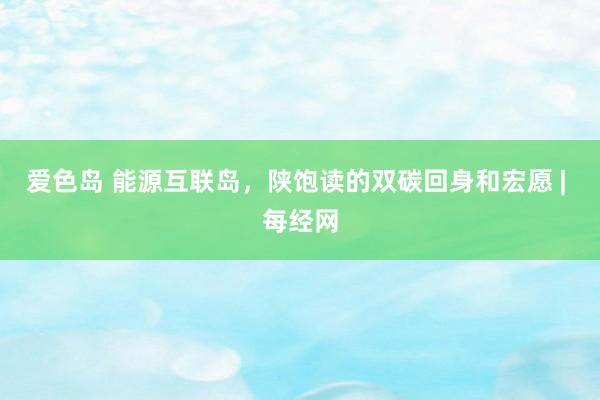 爱色岛 能源互联岛，陕饱读的双碳回身和宏愿 | 每经网