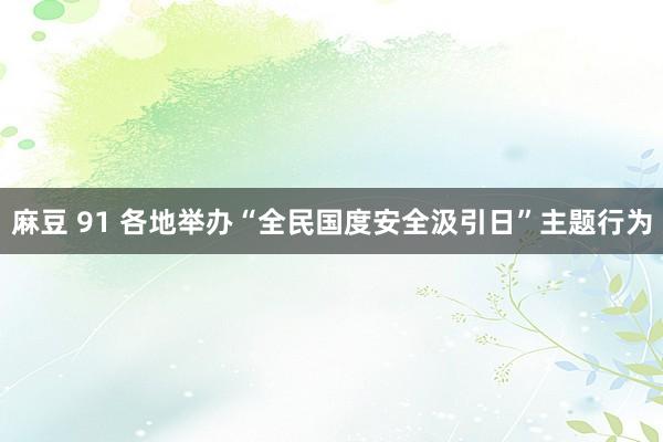 麻豆 91 各地举办“全民国度安全汲引日”主题行为